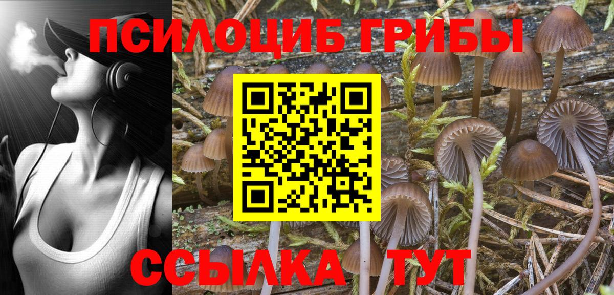 Галлюциногенные грибы MAGIC MUSHROOMS  закладки  Артём  Псилоцибиновые грибы Psilocybine cubensis  Вход с VPN 
